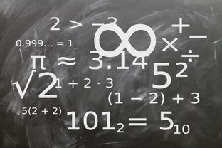 星空体育综合-中小学体育教师教学技能提升研究，中小学体育教学的基本技能
