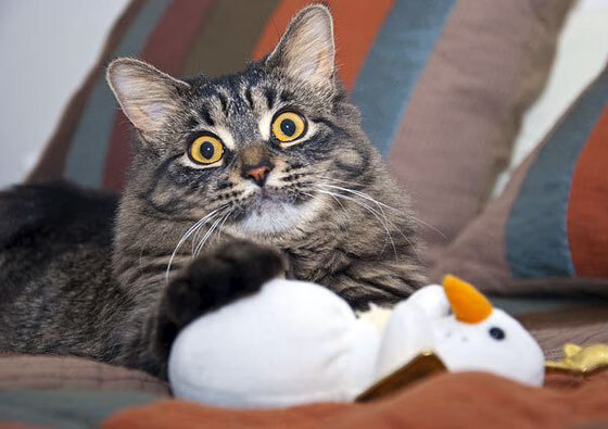 xingkong.com-“金牛区城北体育馆：运动舞蹈带来激情与活力，赛场化身动感舞池！”