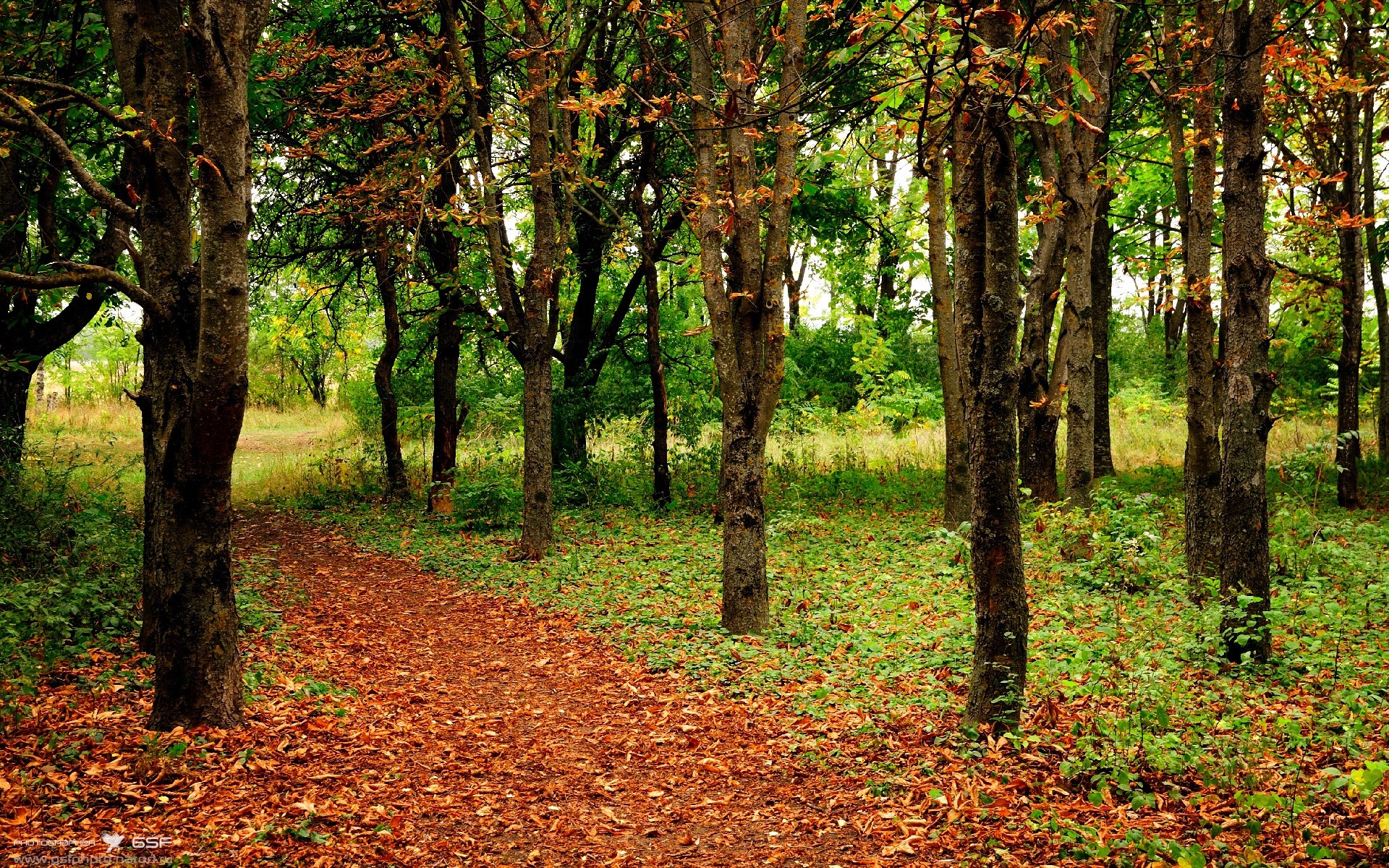 星空game官网-俱乐部青训资金投入不足，足球青训队资金申请