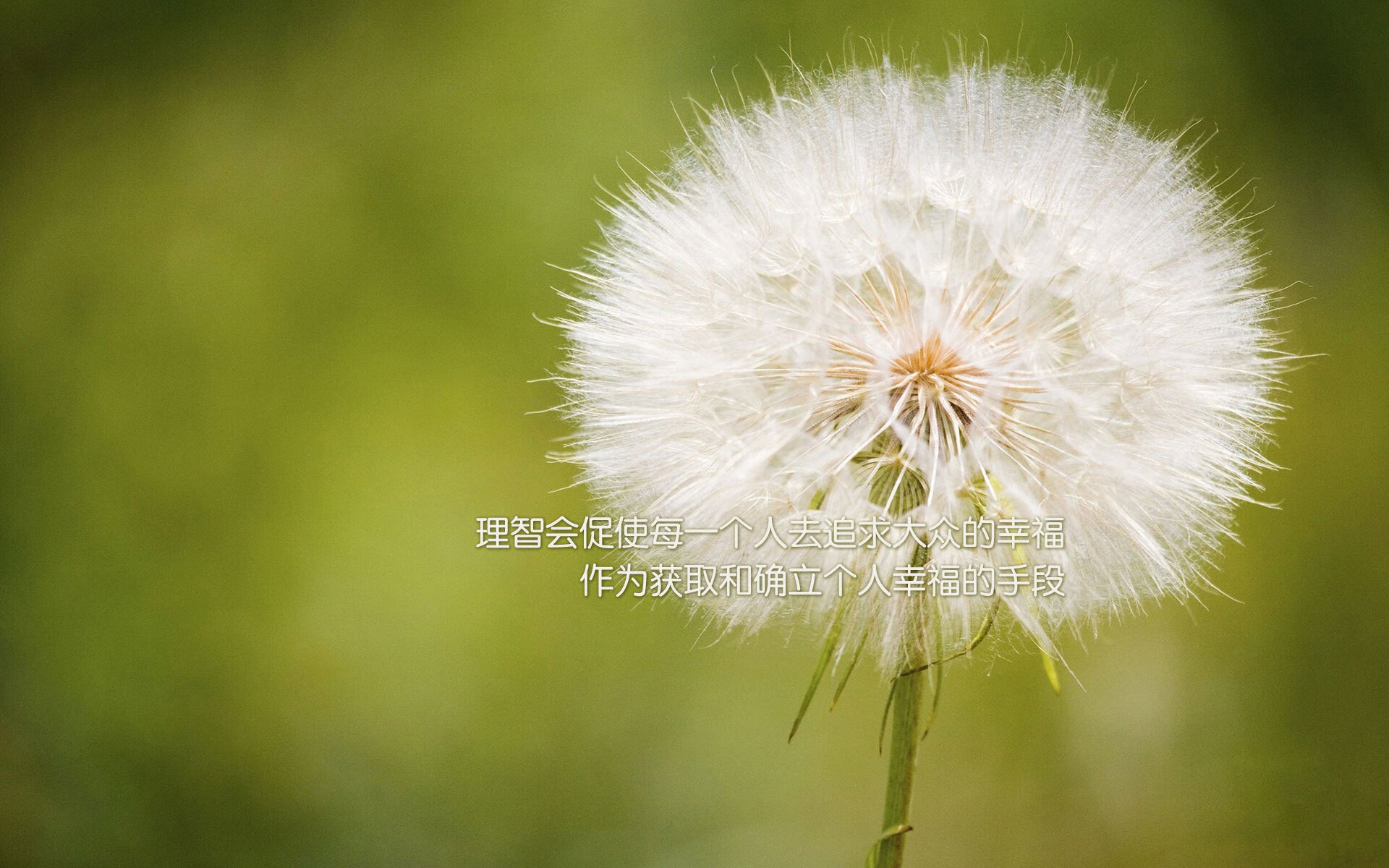 星空娱乐官方下载-球队在防守端节奏控制是否影响对手出手选择，怎样防守控球队员