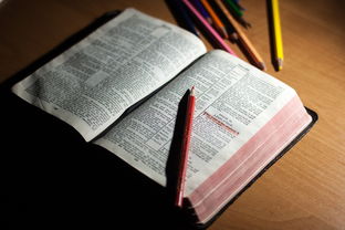 星空游戏平台-体育教师能力认证制度在试点城市启动，体育教师资格证认定条件