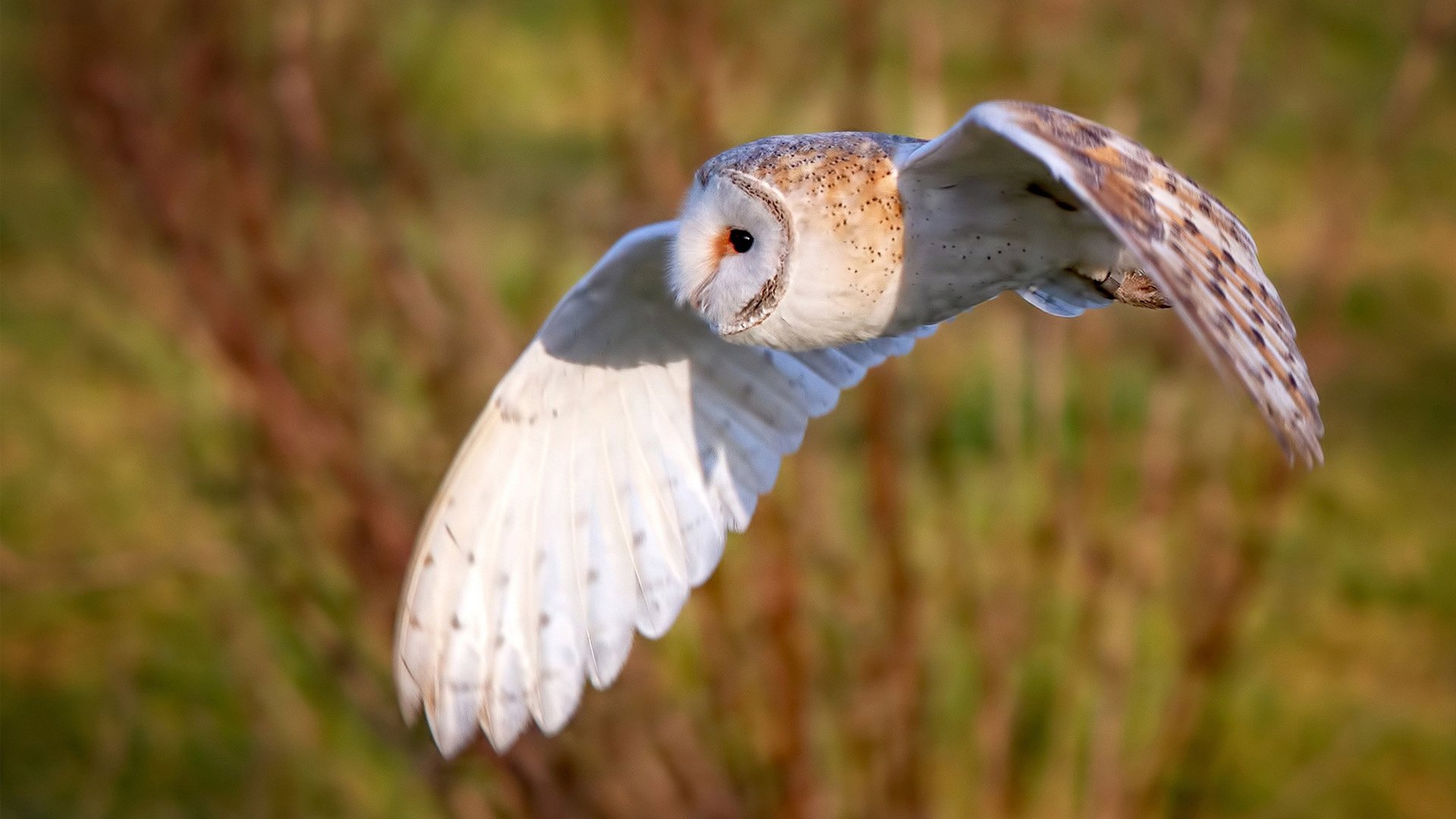 星空体育在线登陆-地方篮球小将赴海外试训展现中国青训成果走向国际舞台，中国青少年篮球训练营